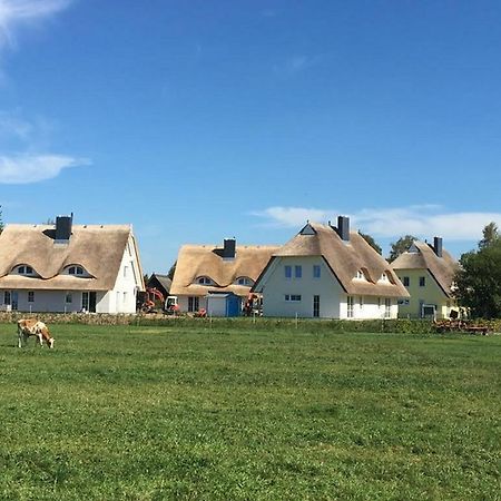 Reetdachhaeuser Boergerende Dış mekan fotoğraf