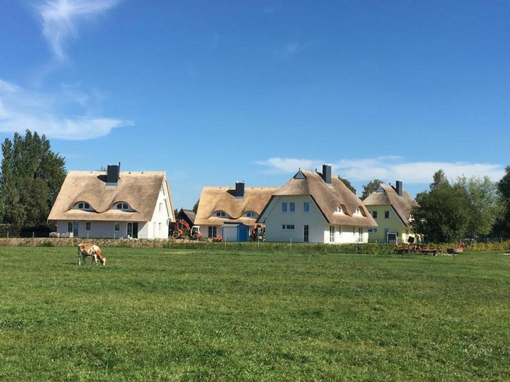 Reetdachhaeuser Boergerende Dış mekan fotoğraf